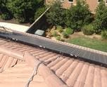 Solar Bird Proofing Riverside County