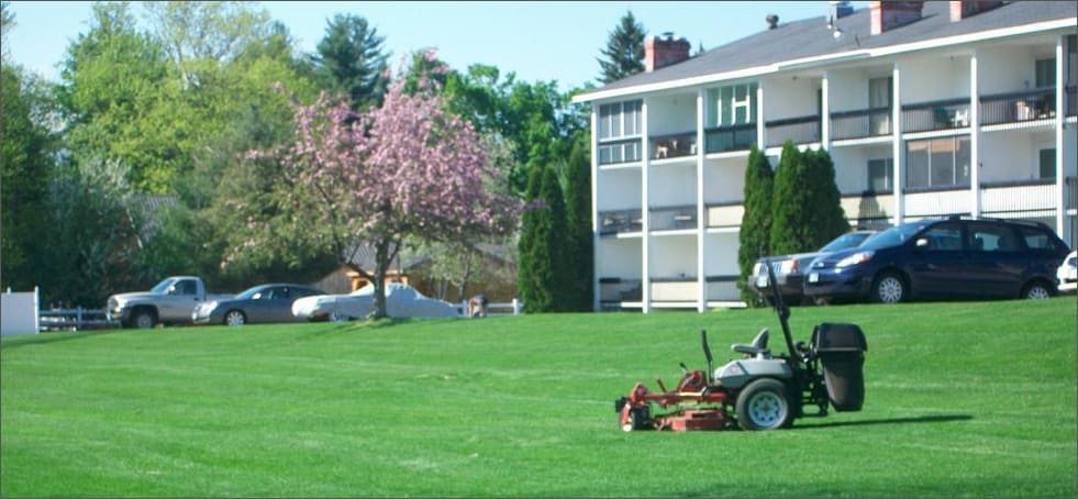 Lawn Service Bellevue WA