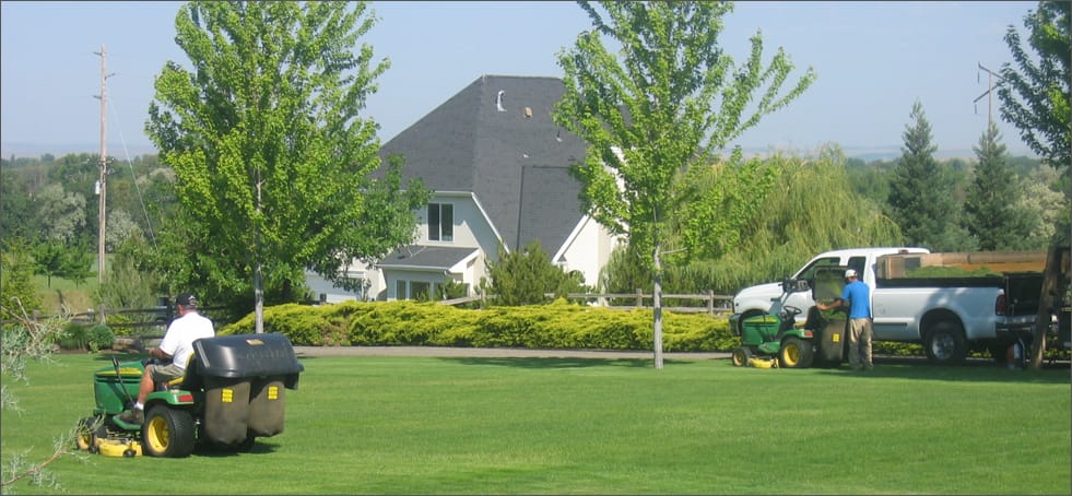Lawn Service Bellevue WA